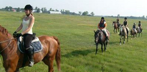 Lovaglás Nagykovácsi környékén