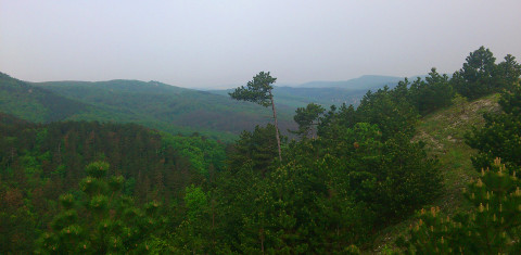 Miért jött létre a helloNagykovácsi?