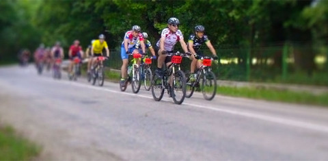 Programok, események Nagykovácsiban