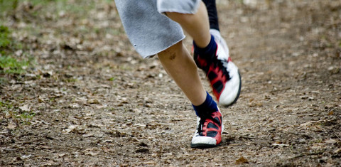 Tájfutási lehetőségek a Budai-hegységben