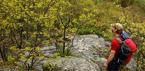 Túrázás - mire figyelj a természetben