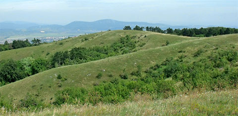 A Nagy-Szénás tanösvény