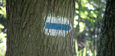 Teljesítménytúra Nagykovácsi környékén